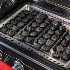 The charcoal tray sits inside the firebox